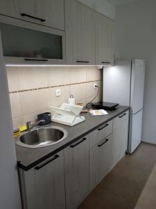 Kuchyň nebo kuchyňský kout v ubytování Apartman Tamara