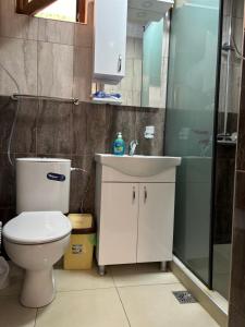 a bathroom with a toilet and a sink and a shower at Garden Haven 100m from the Sea in Siviri