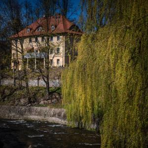 Príroda v okolí apartmánového hotela