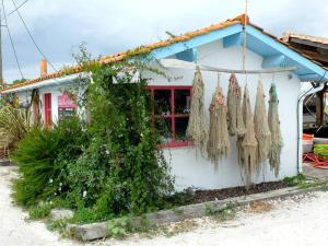 Le "Refuge du Marin" confort et calme pour 2 personnes外面的花园