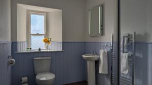 a blue bathroom with a toilet and a sink at Duke of Cornwall in St Austell