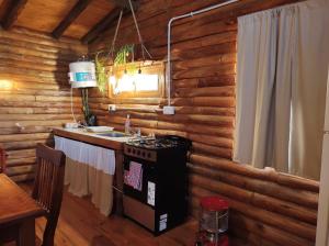 a kitchen with a stove and a sink in a cabin at Cabaña La Obsidiana in San Miguel del Monte