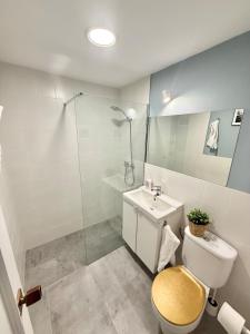 ein Badezimmer mit Toilette, Waschbecken und Dusche in der Unterkunft Vive Zaragoza XII in Saragossa