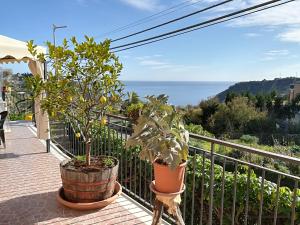 Contrada MastrissaにあるTirreno- Finestra sul Mareの鉢植えの植物2本と海を望むバルコニー