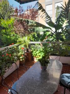 罗马LIAM condo的一个带桌子和一束植物的庭院