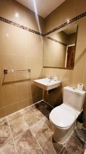 a bathroom with a toilet and a sink at Mulligan Hotel in Dublin +23 photos