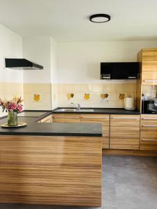 Η κουζίνα ή μικρή κουζίνα στο Apartma Špan