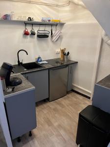 une cuisine avec un évier et un plan de travail dans l'établissement Saint-Gilles Appartement, à Saint-Gilles