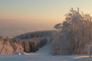 una vista invernale su un fiume in una foresta innevata di Chata Javorový Vrch a Tyra