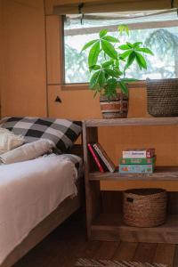 ŁawkiWolny Las Glamping na Mazurach的一间带床的卧室和一扇带植物的窗户