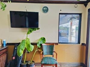a room with a chair and a flat screen tv at Budget Inn By OYO Edinburg Hwy 281 in Edinburg