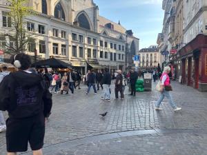 Hosté ubytování Charming Studio in Central Brussels - Walk Everywhere!