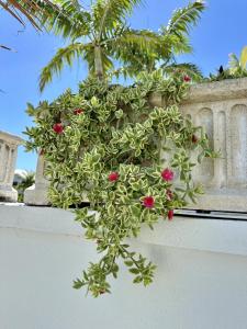 Giardino di Seas the Keys Getaway