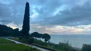 a view of the ocean with a tree and a road at Pini, a Paradise Oasis in Finale