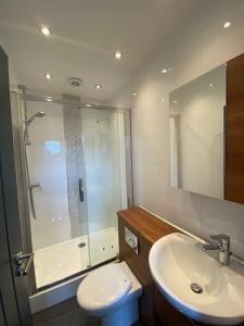 a bathroom with a shower and a toilet and a sink at Modern 2bed warehouse conversion apartment for 6 people - London in London