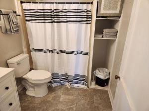 a bathroom with a toilet and a shower curtain at Oasis within a short walk to uptown in High Point +9 photos