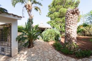 a garden with palm trees and a driveway at Villino Dei Gabbiani in Castellammare del Golfo