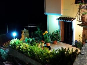 a garden at night with potted plants and a light at Appartamenti La Collina in Jerzu