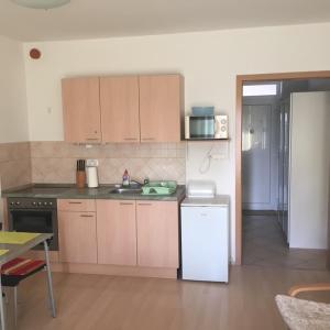 Kuchyň nebo kuchyňský kout v ubytování Club 218 Prémium Wellness Apartman