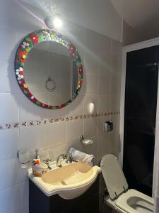 ein Badezimmer mit Waschbecken, Spiegel und Toilette in der Unterkunft Monoambiente en Costanera Posadas Misiones in Posadas
