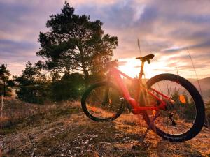 a bike parked on a hill with the sunset in the background at Gasthaus & Hotel Drei Lilien in Werbach +87 photos