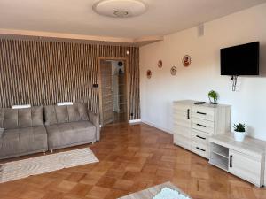 a living room with a couch and a television at Oaza Spokoju in Augustów