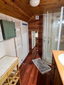a bathroom with a shower and a sink at Chalet de charme à Vallouise in Le Poët