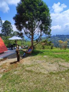 Foto dalla galleria di Glamping El Renuevo a Dosquebradas