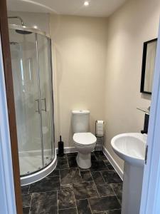 a bathroom with a shower and a toilet and a sink at Flat At 34 in Street