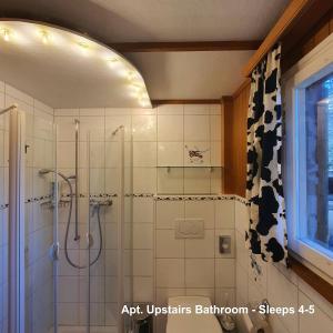 Un baño de Tannenboden