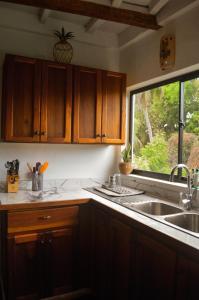 a kitchen with wooden cabinets and a sink and a window at Casa Dardanelo in Granada