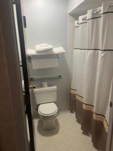 a bathroom with a toilet and a shower at Aurora Inn in Aurora +4 photos