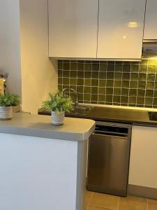 Kuchyň nebo kuchyňský kout v ubytování Siestamar Beach Apartment, refurbished, renové, renovado 2025
