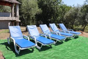 Κήπος έξω από το Lorelei Farm 6