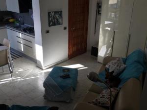 a dog sitting on a couch in a living room at Il mare negli occhi in Marina di Pisa