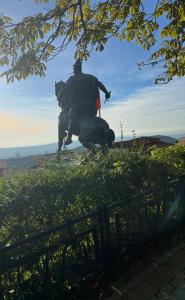 Hosté ubytování Skanderbeg Hotel