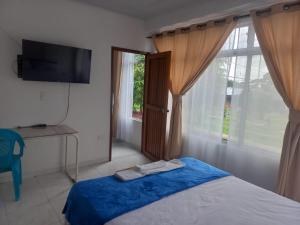 IníridaにあるAMAZONIKA Casa de Huespedesのベッドルーム1室(ベッド1台、テレビ、窓付)