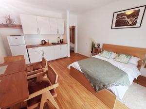 a bedroom with a bed and a desk in it at Lucky center Ljubljana in Ljubljana