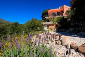 Un paisaje natural cerca del aparthotel