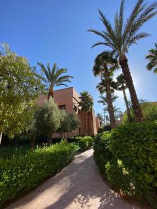 Zahrada ubytování Riad butterfly Marrakech