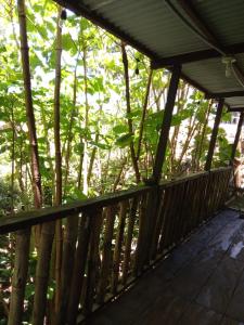 una veranda in legno con alberi sullo sfondo di Colors Hostal a Boquete