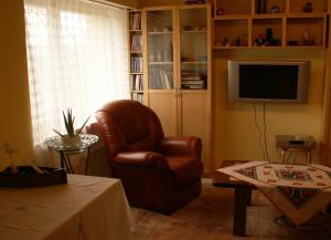 a living room with a chair and a television at Villa Lavendel in Gondiswil