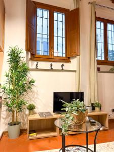 A kitchen or kitchenette at Vinegia N5 - Clemente & Settimo Apartments