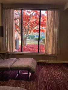 Posteľ alebo postele v izbe v ubytovaní Courtyard by Marriott Fishkill