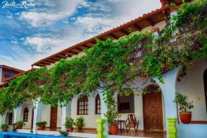 Un edificio con un mucchio di edera che cresce sopra. di Hotel La Posada del Sol a Granada