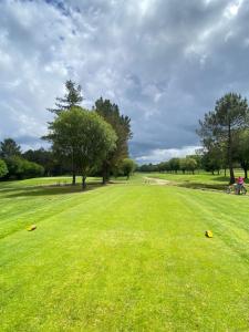 a field of green grass with trees in the distance at PADRÓN PLAZA Lofts, Centro in Padrón