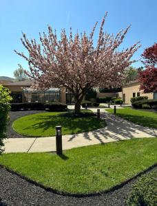 Vonkajšia záhrada v ubytovaní Courtyard by Marriott Fishkill