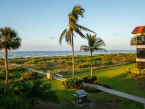 a palm tree and a picnic table next to the ocean at 1BR ocean view condo on Sanibel Island Steps from the beach 3B3 in Sanibel