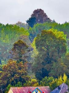 Afbeelding uit fotogalerij van Moderno y equipado departamento in Osorno
