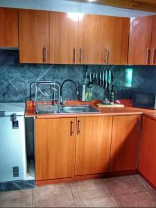 a kitchen with wooden cabinets and a sink and a refrigerator at Parcela Pedregal in Peralillo
